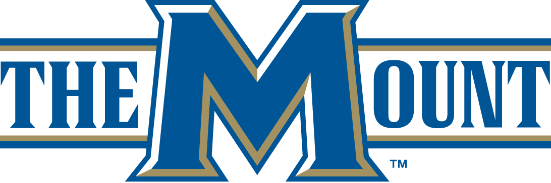 Mount St. Marys Mountaineers 2004-Pres Alternate Logo 03 iron on paper